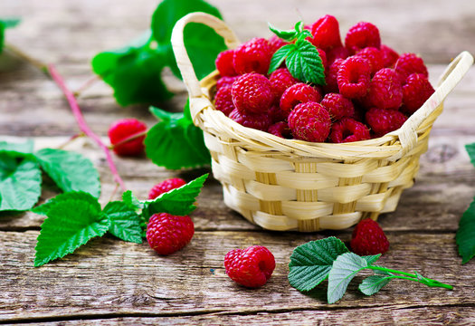fresh raspberry in to the basket