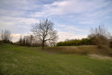 Obraz premium Campagna Romana