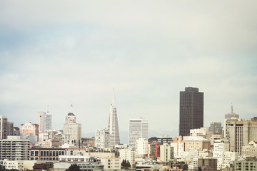 Fototapeta na wymiar View on the San Francisco skyline from Alamo Square, California