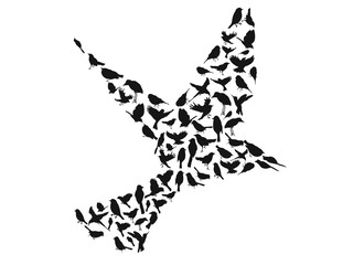 birds silhouettes group vector