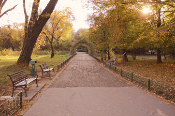 Autumn in park