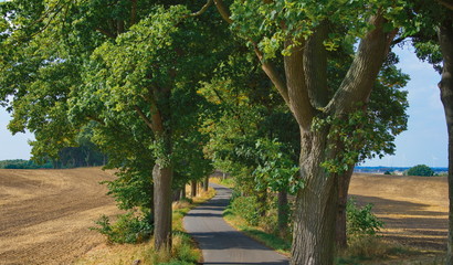 Oder-Neiße-Radweg bei Staffelde