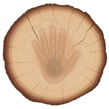 Hand shaped annual rings on a wood, as a symbol for nature conservation, environment protection, to stop forest dieback, or a sign for aging process. Isolated vector illustration, white background. 