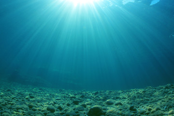 Fototapeta na wymiar Underwater Sea Ocean