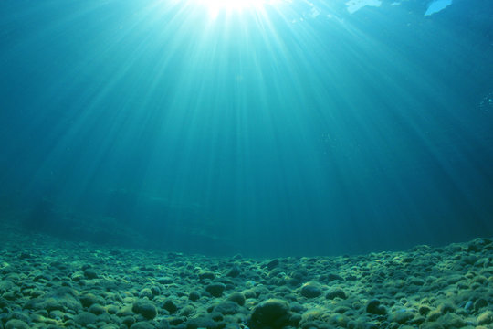 Underwater Sea Ocean