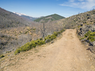 Camino Ermito en la Sierra de Ayllón. Guadalajara.