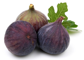Fig group