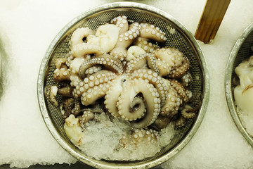 Octopus on Ice
