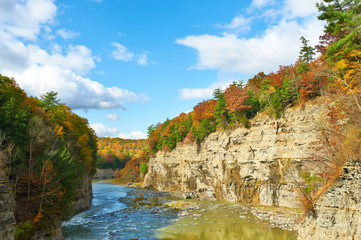 Autumn scene of river and forest