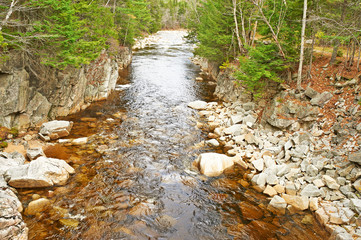Swift River at autumn