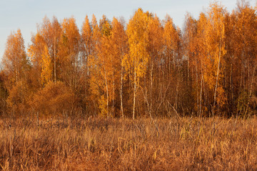 Nature landscape in autumn colors