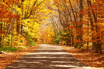 Autumn scene with road