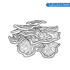  mushrooms set icons, vector illustration.