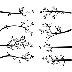 Branch Silhouettes
