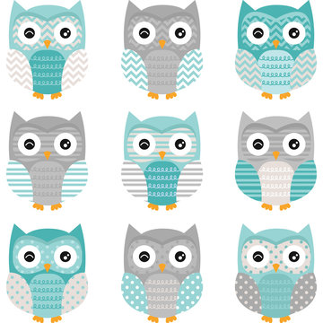 Aqua Grey Cute Owl Collections