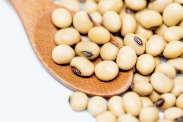 Soybean on wooden spoon
