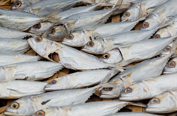 Dried  mackerel fish