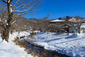 Oshino Hakkai in winter