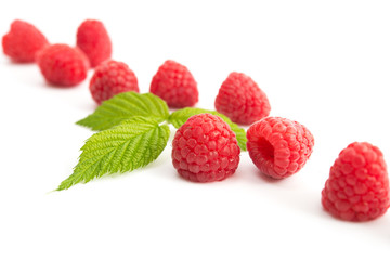 Himbeeren
