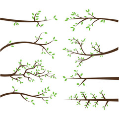 Branch Silhouettes Elements