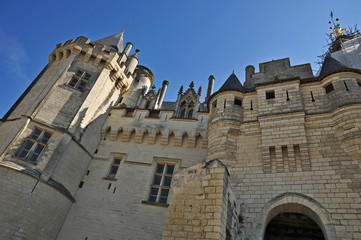 Fototapeta na wymiar Il castello di Saumur e la Loira - Francia