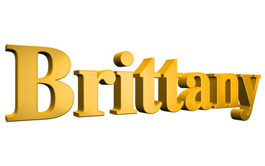 3D Brittany text on white background
