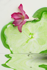 Flowers and water reflection blurred color combinations