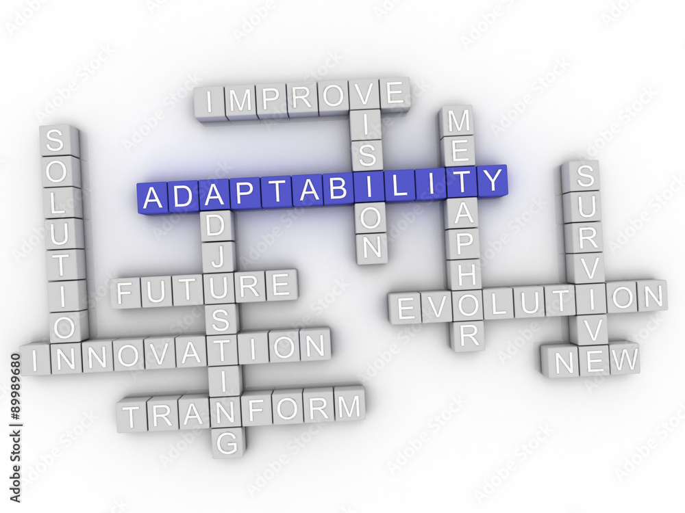 Wall mural 3d image Adaptability word cloud concept