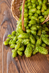 Fresh green hops on wooden desk