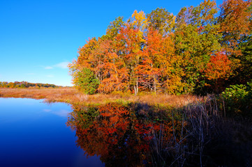 Fall Colors and Blue Sky reflecting off of water.