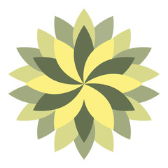 Beautiful Lotus Flower Color Whee vector