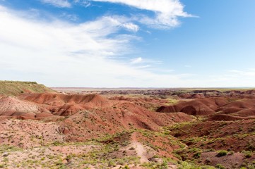 Petrified Forest National Park, Arizona, USA