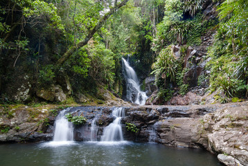 Elabana Falls in the Green Mountains, Lamington National Park, Queensland, Australia