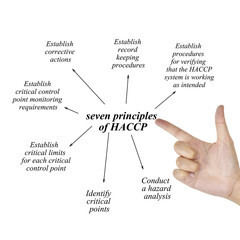 Obraz premium Woman hand writing element of HACCP principle on white backgroun
