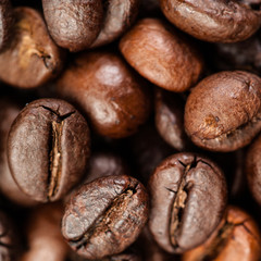 Coffee background. Brown coffee beans, close up of coffee beans