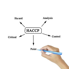 women hand writing meaning of HACCP concept (Hazard Analysis of Critical Control Points) on green background for used in manufacturing.