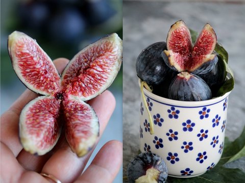 figs fruit collage