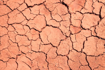 Cracked ground