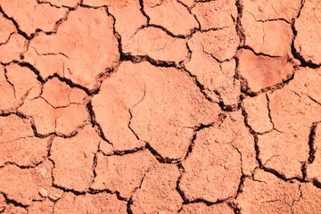 Cracked ground