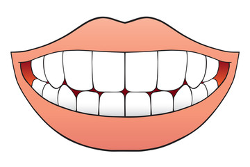 Obraz premium Mouth full of flawless teeth