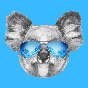 Portrait of Koala with mirror sunglasses. Hand drawn illustration.