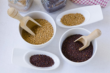 Herbs and Spices. Mustard Seeds.