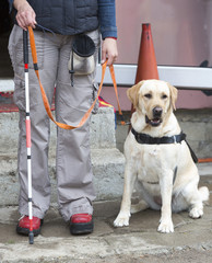 Blind person with her guide dog