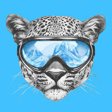 Portrait of Leopard with ski goggles. Hand drawn illustration.