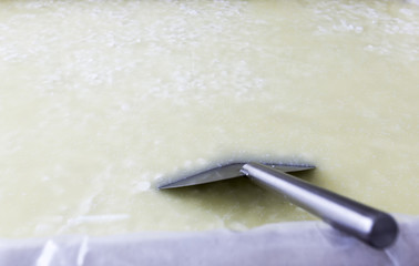 Dairy tank with buffalo cheese