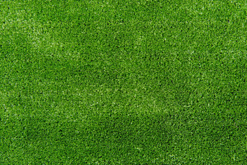 Fototapeta premium green grass