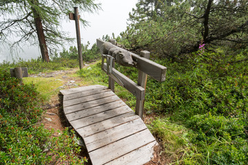 Petit pont en forêt avec sculpture de fourmi