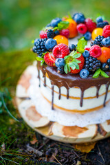 Summer berry cake