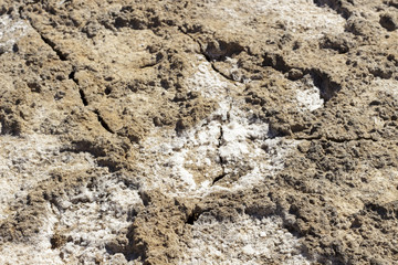 Detail of salt in the ground of a lagoon affected by deep drought