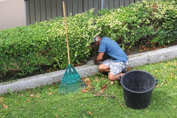 jardinage